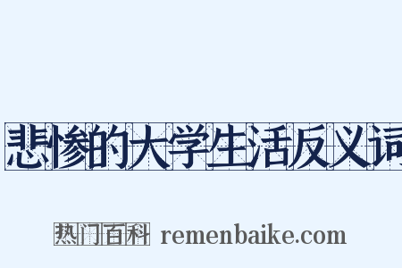 悲惨的大学生活反义词是什么意思的图片